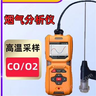 MS600-FG烟气检测仪分析仪